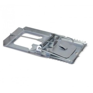 Ratoeira Grande C/12 JWC